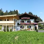 Blick Auf Den Rettenstein 1