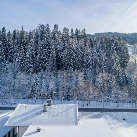 Blick Auf Den Rettenstein Top 1 Kirchberg in Tirol