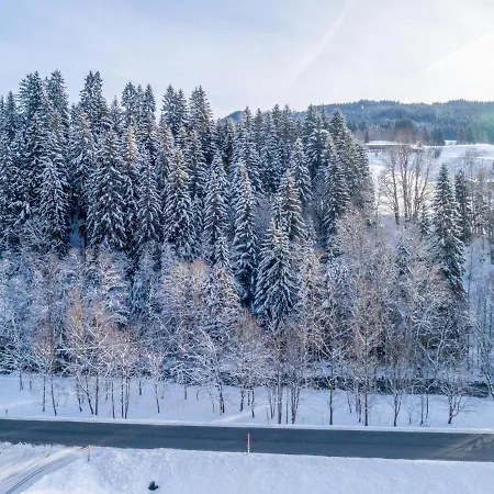 Apartment Blick Auf Den Rettenstein Top 1 Kirchberg in Tirol