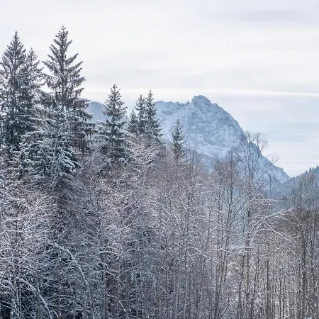 Blick Auf Den Rettenstein 1 Apartamento Kirchberg in Tirol