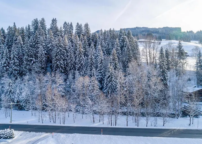 アパート Blick Auf Den Rettenstein 1 キルヒベルク・イン・チロル